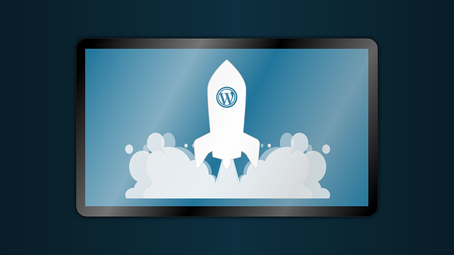 14 Essential WordPress Plugins for Marketers